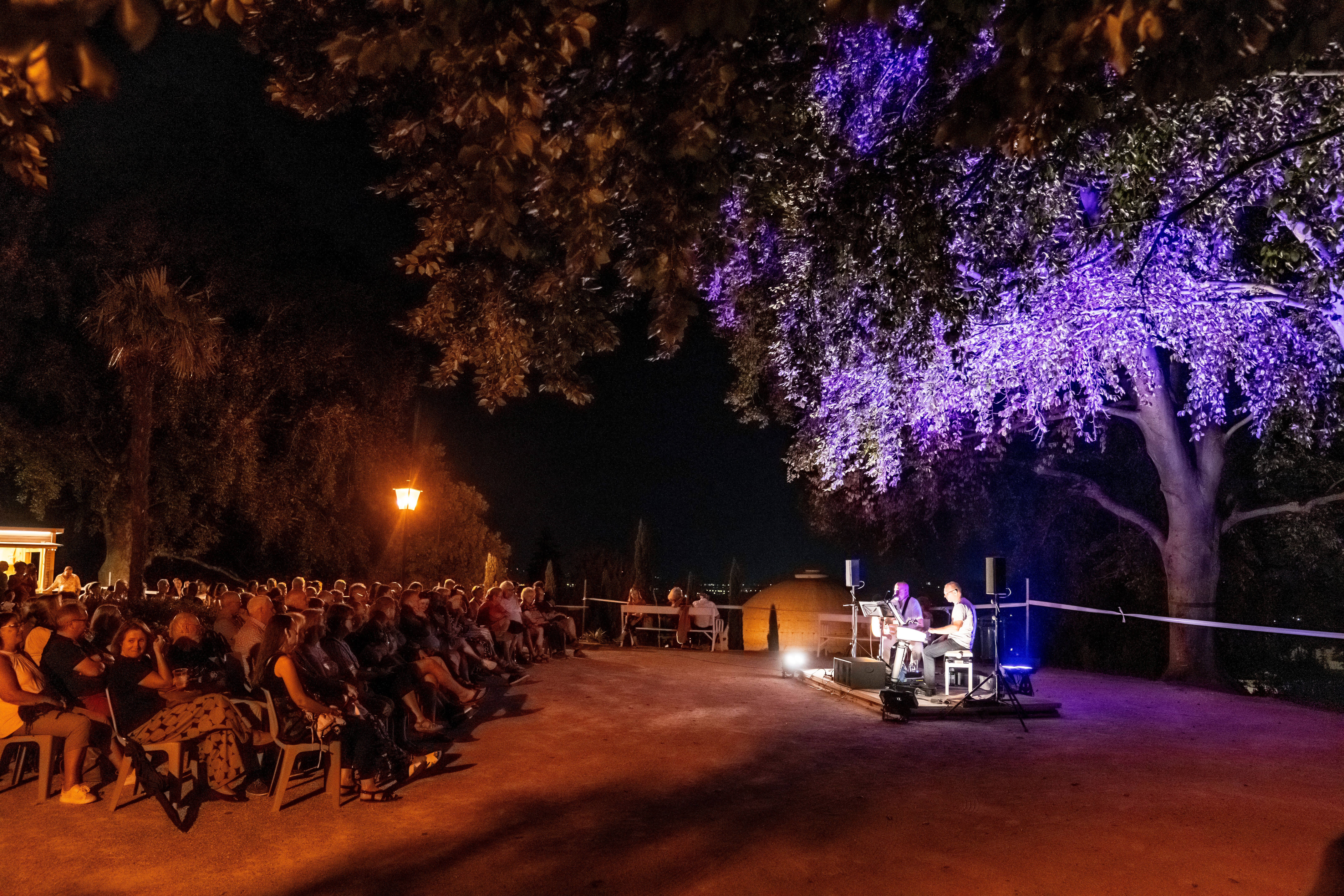 Unter dem sanften Licht der Abenddämmerung versammeln sich Musikliebhaber in einer malerischen Kulisse, um den Klängen eines einzigartigen Konzerts zu lauschen. Die Atmosphäre ist erfüllt von der Magie der Musik und dem Duft der umliegenden Natur, während die Bäume sanft im Wind wiegen.