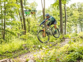 Südtiroler Trail, © Wienerwald Tourismus / Wienerwald Trails