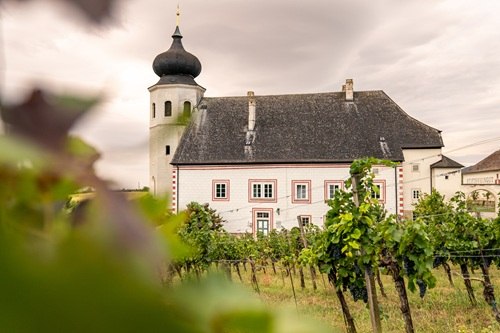 Weingarten Thallern, © Johannes Friedl