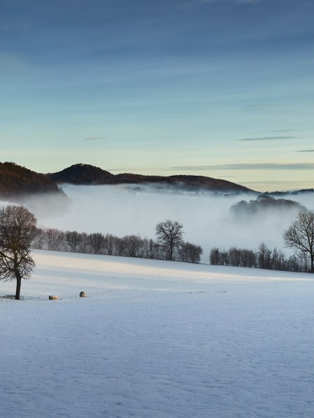 Winterlicher Wienerwald, © Andreas Hofer