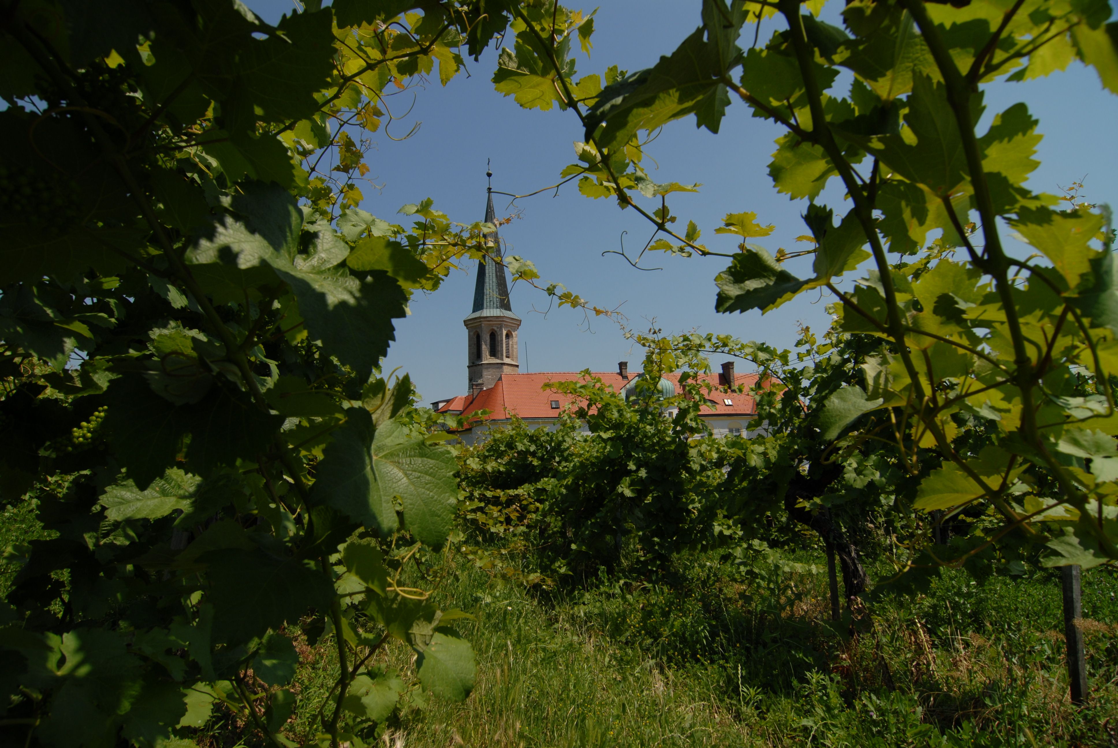 Weinreise