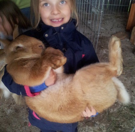 A child holds a large rabbit in its arms.