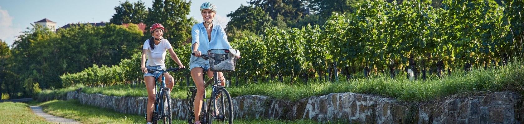 Genussradeln im Wienerwald, &copy; Wienerwald Tourismus/Andreas Hofer