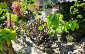 Garten mit Holzbr&uuml;cke, Pflanzen und Steinen.