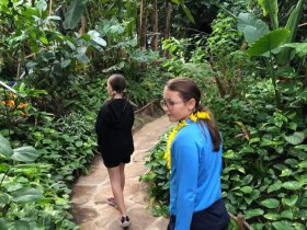 Auf Schmetterlingsafari durch die Schmetterlingwelt Tattendorf, &copy; Wienerwald Tourismus GmbH