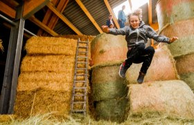 Altenmarkt - Heuhupfen am Bauernhof Steiner, © Wienerwald Tourismus/Christian Husar
