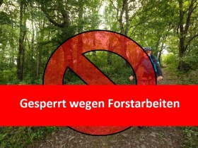 Gesperrt wegen Forstarbeiten, © Wienerwald Tourismus GmbH / Christoph Kerschbaum