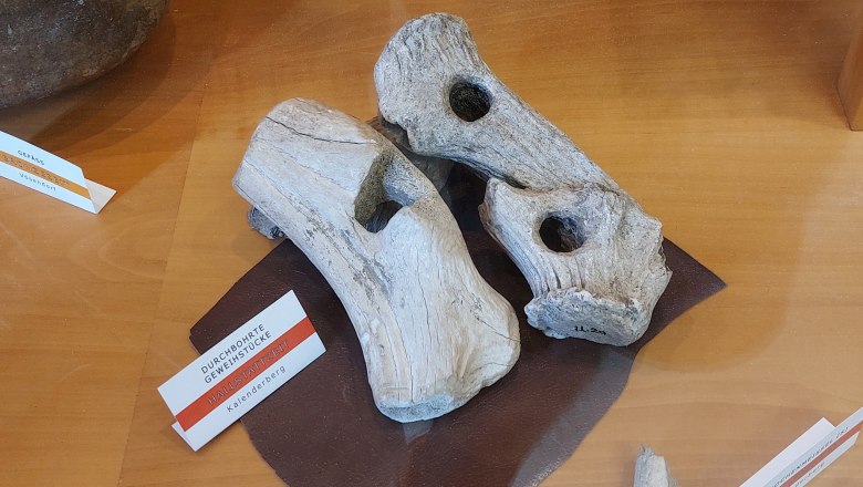 Werkzeug aus Geweih vom Kahlenberger im Musem M&ouml;dling, &copy; Jakob Maurer