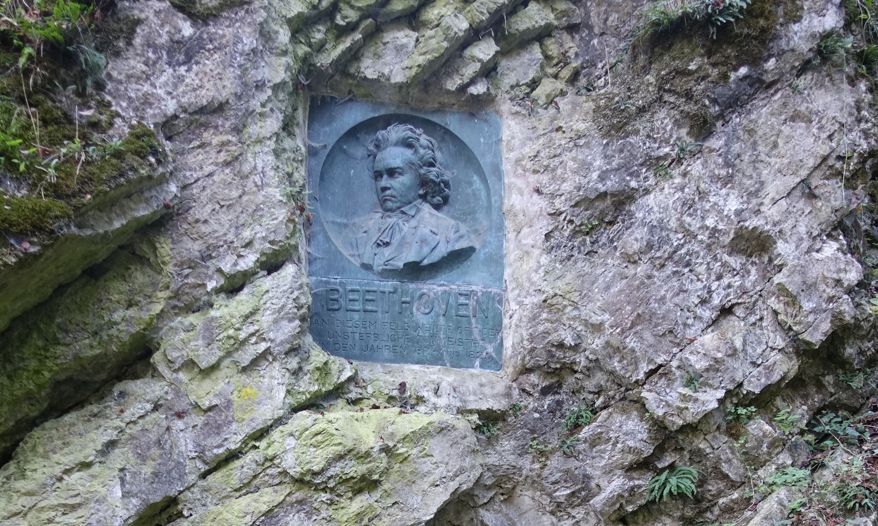 In einer Felswand im Wald ist ein Relief mit dem Portrait Ludwig van Beethovens eingemeißelt. Darunter steht sein Name Beethoven. Um das Relief herum wachsen Moose und Farne. 