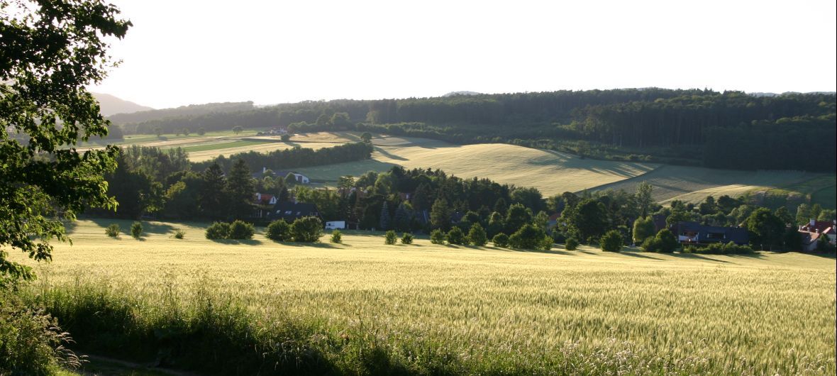 Landschaft mit Feldern, Bäumen und Häusern im Hintergrund.