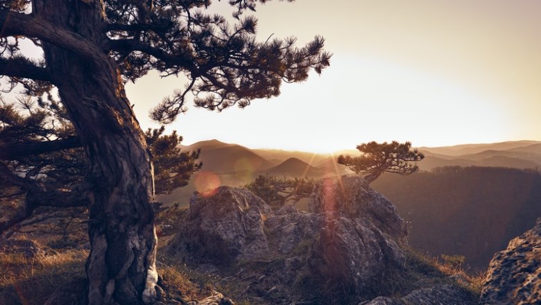 Triestingtal, © Andreas Hofer