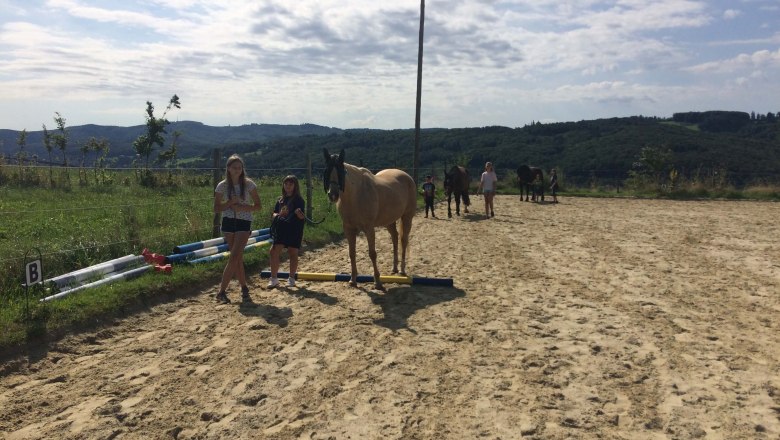 Horses at the 3er Hof, &copy; 3er Hof