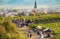 Inmitten der sanften Hügel und üppigen Weinreben versammeln sich Menschen, um die Köstlichkeiten der Region zu genießen. Die Atmosphäre ist lebhaft und einladend, während die Sonne über den malerischen Weinbergen strahlt und die umliegende Landschaft in warmes Licht taucht.
