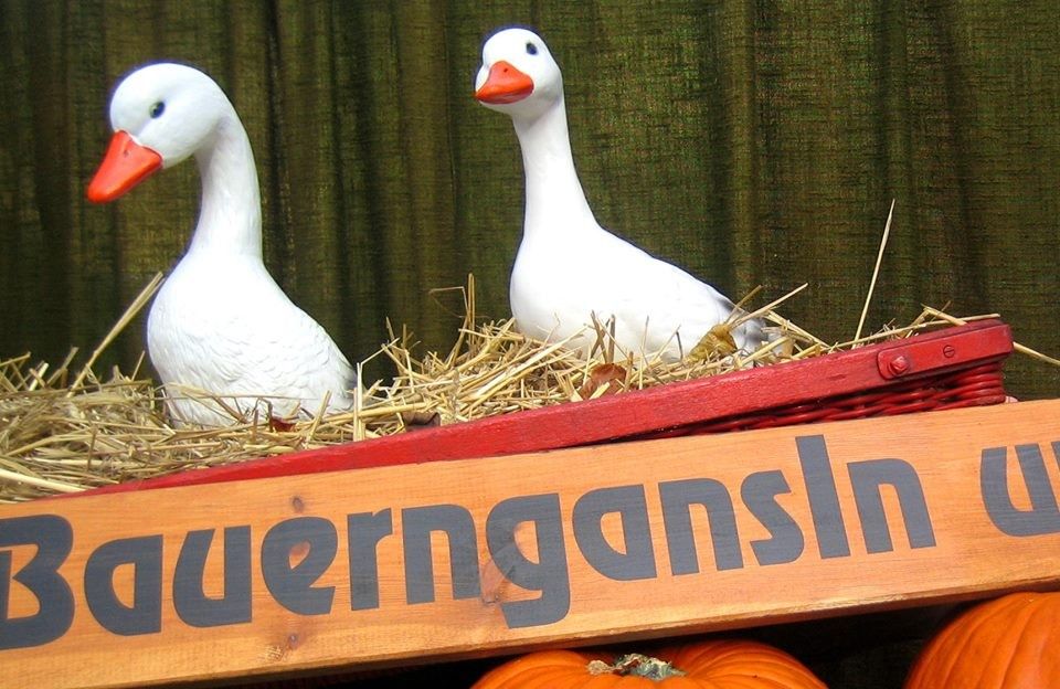 Gans´ln