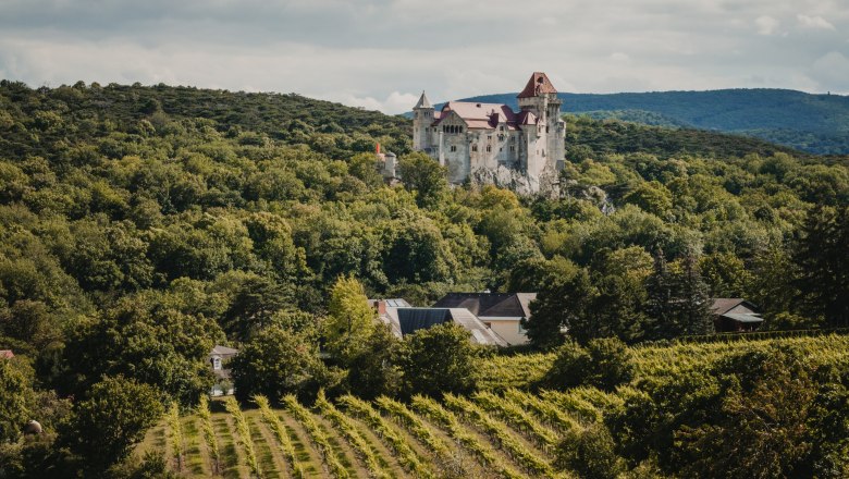 Burg Liechtenstein, © Weinland Thermenregion/Adrian Almasan