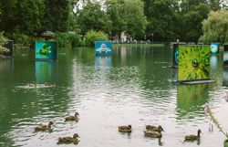 Festival Impression 2025