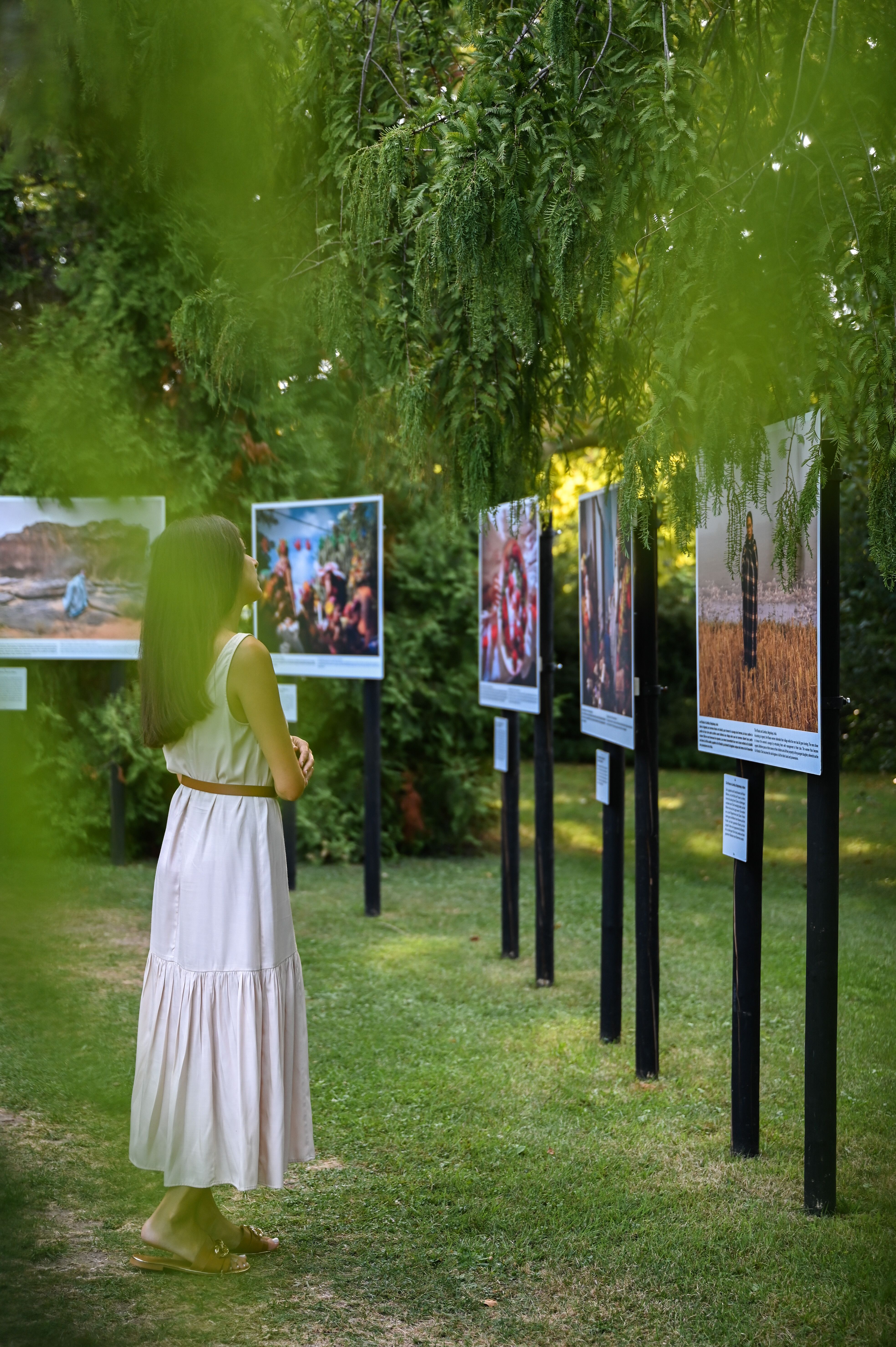 Inmitten üppiger grüner Bäume und sanfter Wiesen entfaltet sich eine faszinierende Ausstellung, die die Schönheit der Natur und die Kunst der Fotografie vereint. Besucher schlendern entspannt zwischen den beeindruckenden Bildern und genießen die friedliche Atmosphäre, während die warmen Sonnenstrahlen durch das Blätterdach scheinen.