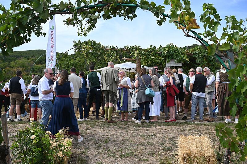 Gruppe von Personen in Tracht und normaler Wanderkleidung steht bei einem Winzerbetrieb auf der Genussmeile