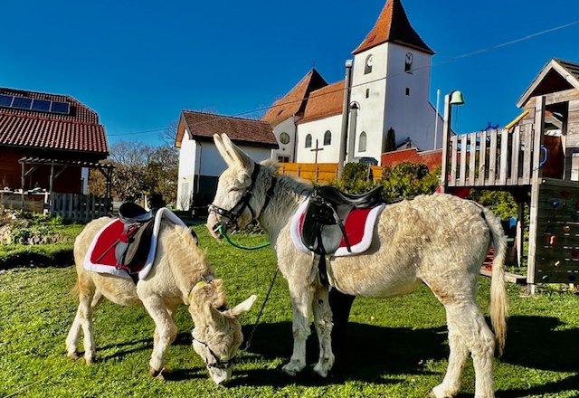 Baroque donkey, &copy; Martha Sprengnagel