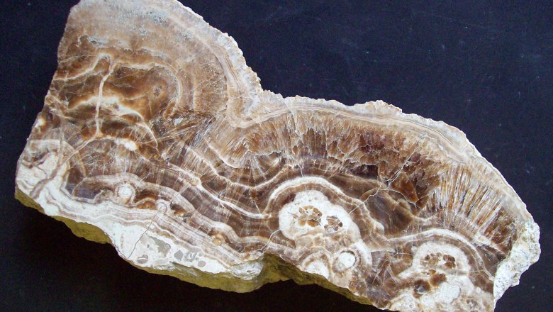 Nahaufnahme eines Aragonit-Minerals mit braunen und weißen Schichten.