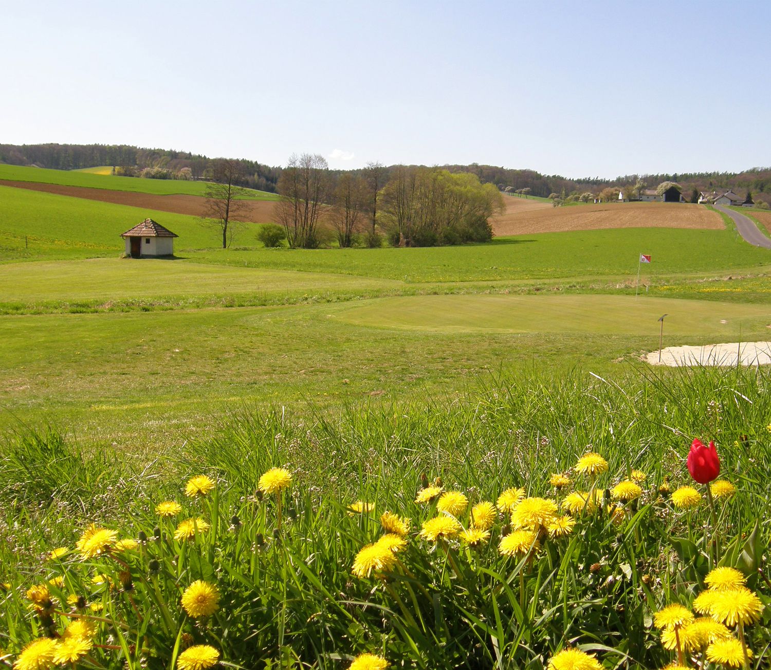 Golfplatz mit Blumen im Vordergrund und Flagge auf dem Grün.
