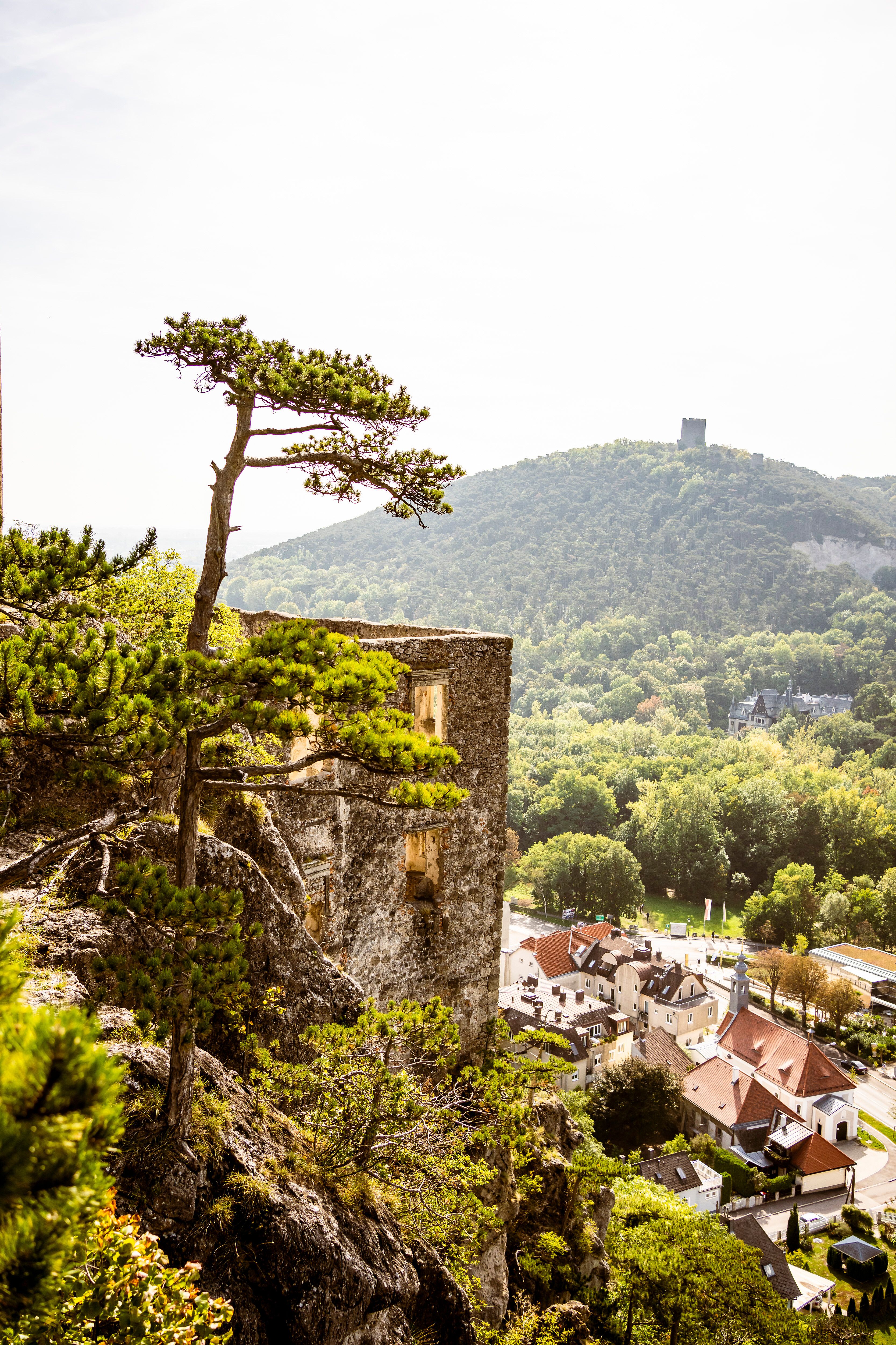 Ein sanfter Wind streicht durch die malerische Landschaft, während die Sonne sanft über die Hügel des Wienerwaldes scheint. Die alten Ruinen erzählen Geschichten vergangener Zeiten und laden dazu ein, die Schönheit der Natur zu erkunden. Hier, wo sich die Bäume mit den Bergen vereinen, findet jeder Besucher einen Ort der Ruhe und Inspiration.