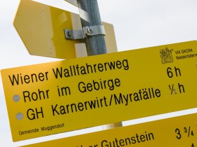 Wiener Wallfahrerweg, © Mostviertel Tourismus / schwarz-koenig.at