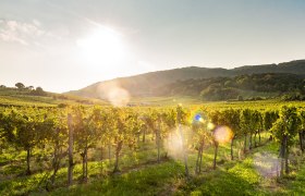 Thermenregion Wienerwald, © Christian Dusek