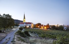 Der traditionelle Heurigenort Gumpoldskirchen, &copy; Nieder&ouml;sterreich Werbung/ Hauke Dressler