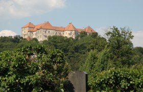 Burg Neulengbach auf einem bewaldeten Hügel mit roten Dächern, umgeben von Bäumen und blauem Himmel.