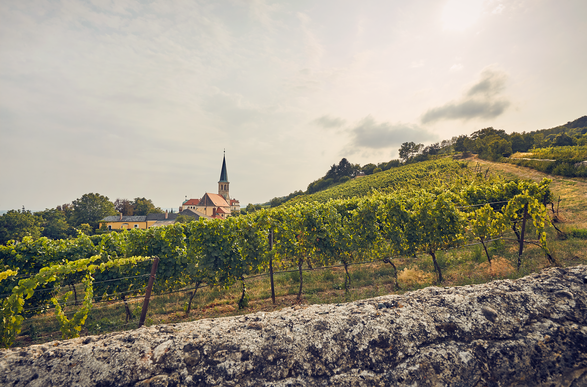 Sanfte Hügel, bedeckt mit üppigen Weinreben, laden zu einem entspannenden Spaziergang ein. Die malerische Landschaft wird von der charmanten Kirche im Hintergrund gekrönt, die den perfekten Rahmen für einen unvergesslichen Tag in der Natur bietet.