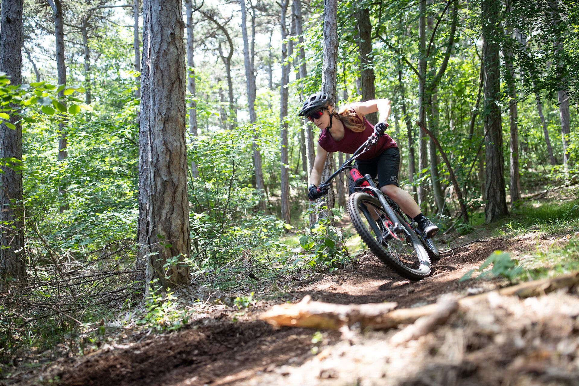Ein Mountainbiker gleitet mit Schwung durch die dichten Wälder des Wienerwaldes, umgeben von üppigem Grün und dem Duft frischer Tannennadeln. Die Sonne strahlt durch die Baumkronen und schafft eine magische Atmosphäre, die Abenteuerlust und Freiheit verspricht.