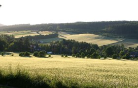 Landschaft mit Feldern, Bäumen und Häusern im Hintergrund.