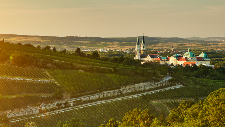Klosterneuburg, Wienerwald, © Niederösterreich Werbung/Michael Liebert Die sanften Hügel und die üppigen Weinreben schaffen eine malerische Kulisse, die zum Verweilen einlädt. In der Ferne erheben sich majestätische Gebäude, die von der Geschichte und Kultur der Region zeugen. Ein Ort, an dem Natur und Tradition harmonisch miteinander verschmelzen.