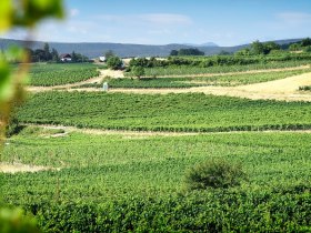 Wandern am 1.Wiener Wasserleitungswanderweg, © Wiener Wasser/Zinner