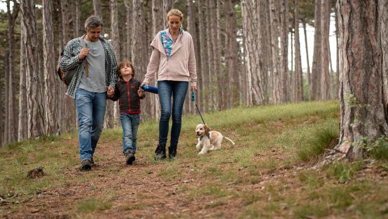 Wine.forest.water hiking arena, &copy; Silke Ebster